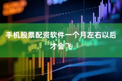手机股票配资软件一个月左右以后才会飞