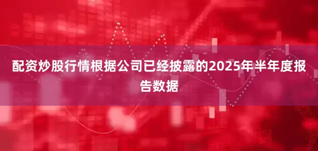 配资炒股行情根据公司已经披露的2025年半年度报告数据
